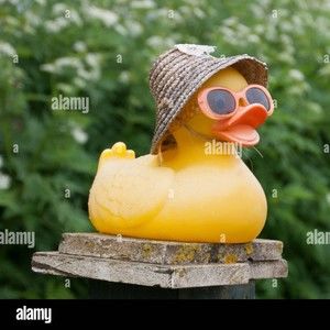 Meet your Posher, Surena